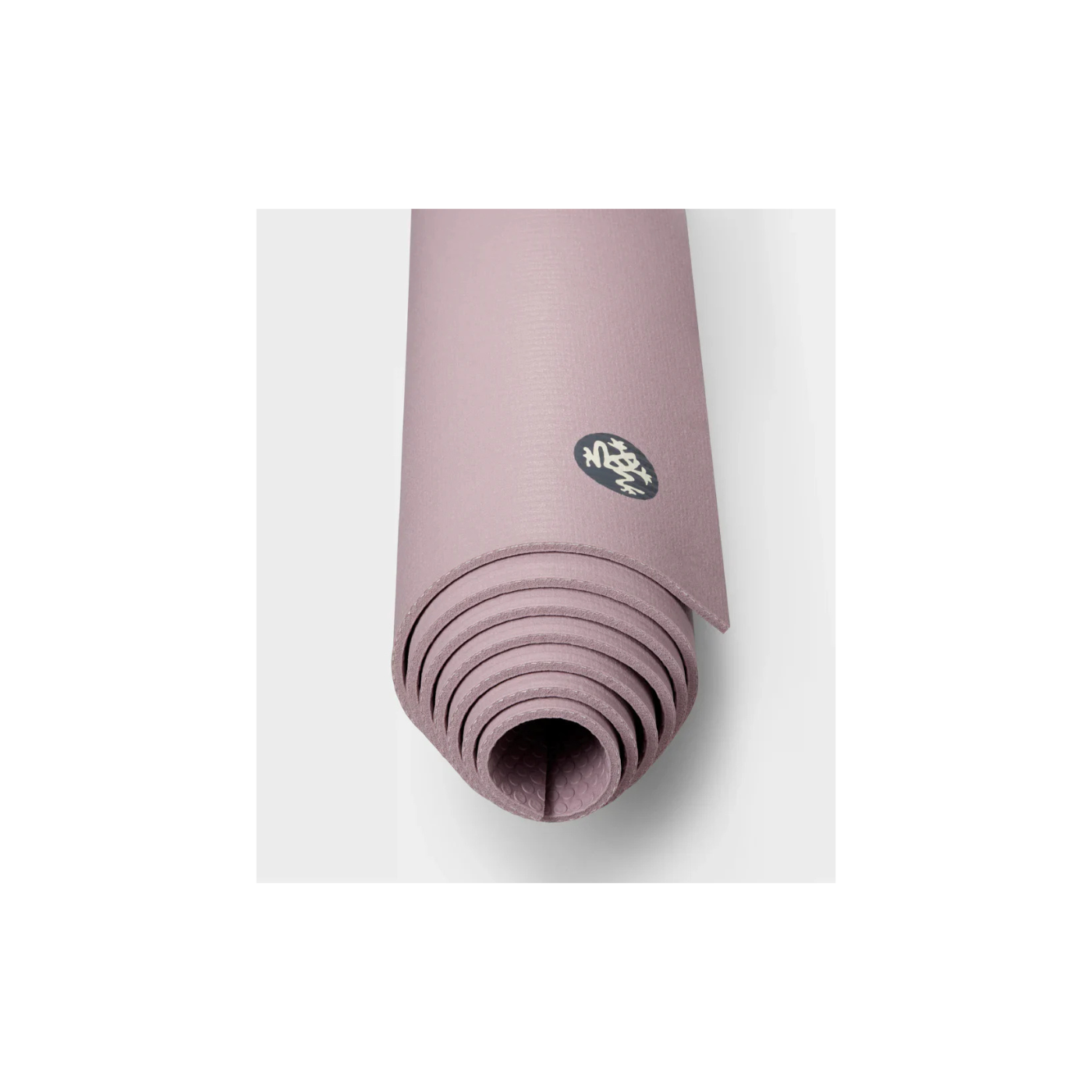 Prolite 71 Elderberry 2025