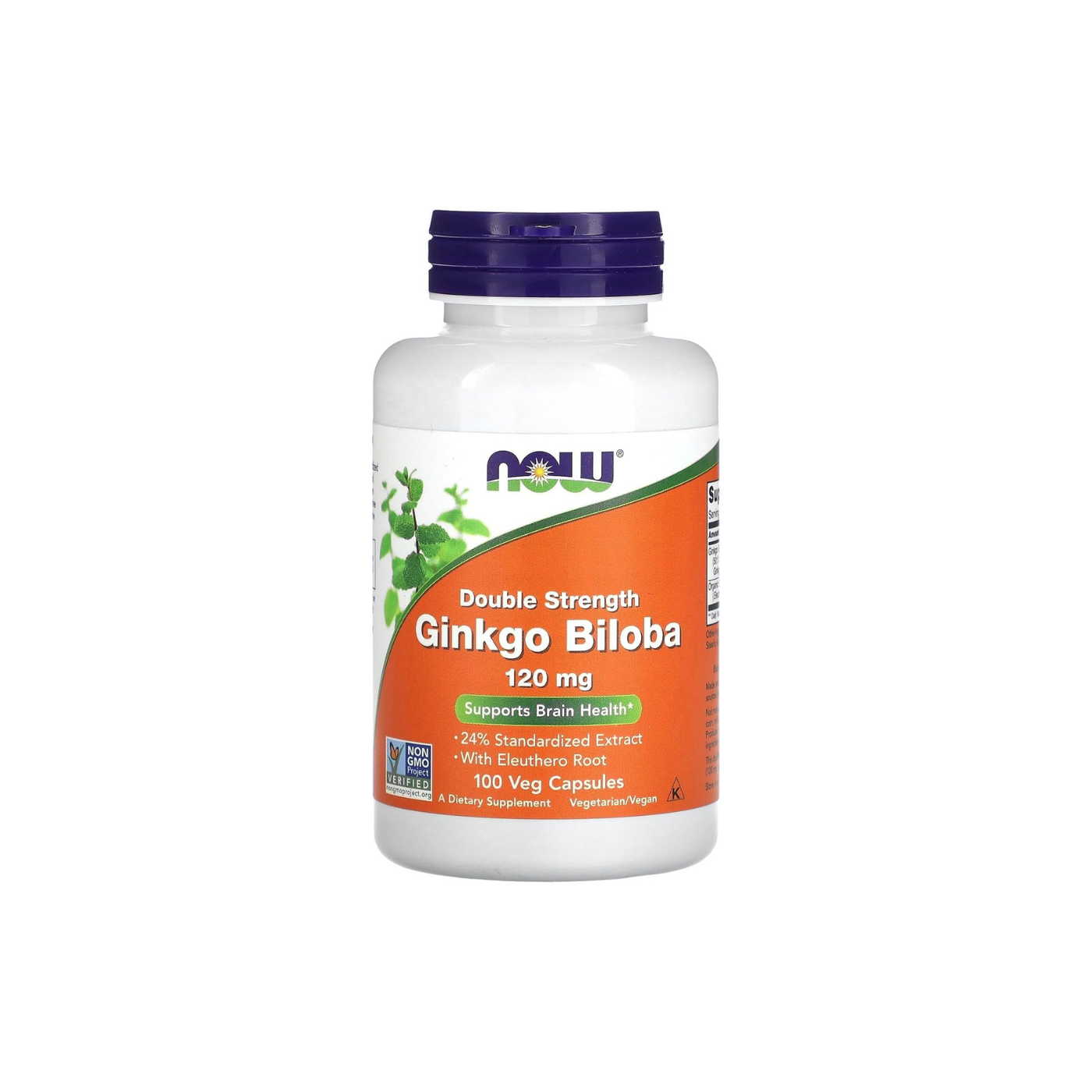 Ginko Biloba