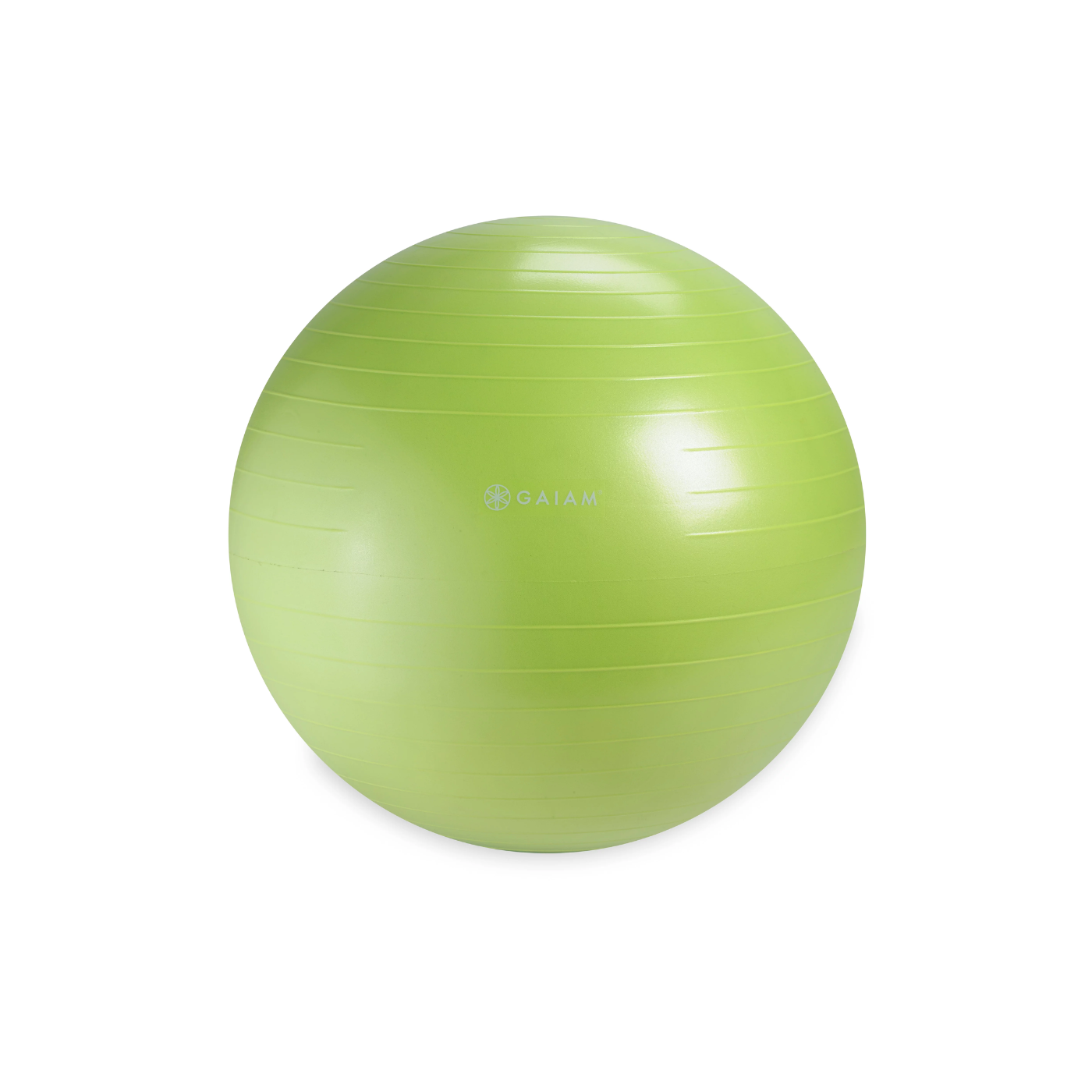 Gaiam Restore Strong Back Stability Ball Kit