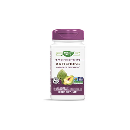 Artichoke Alcachofa